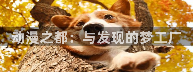 omofun动漫视频网